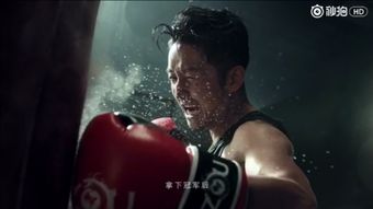 夏普旷视首发 明星店长邹市明诠释好屏实力，打造行云旷视新体验